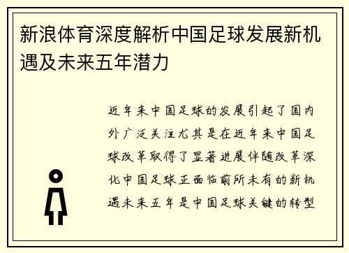 新浪体育深度解析中国足球发展新机遇及未来五年潜力